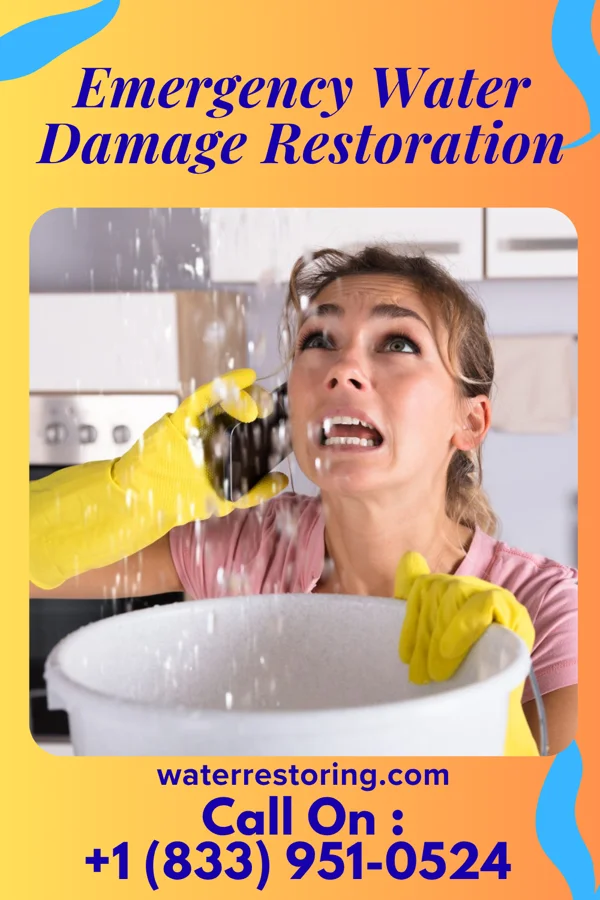 Emergency Water Damage Restoration in Roberts, IL