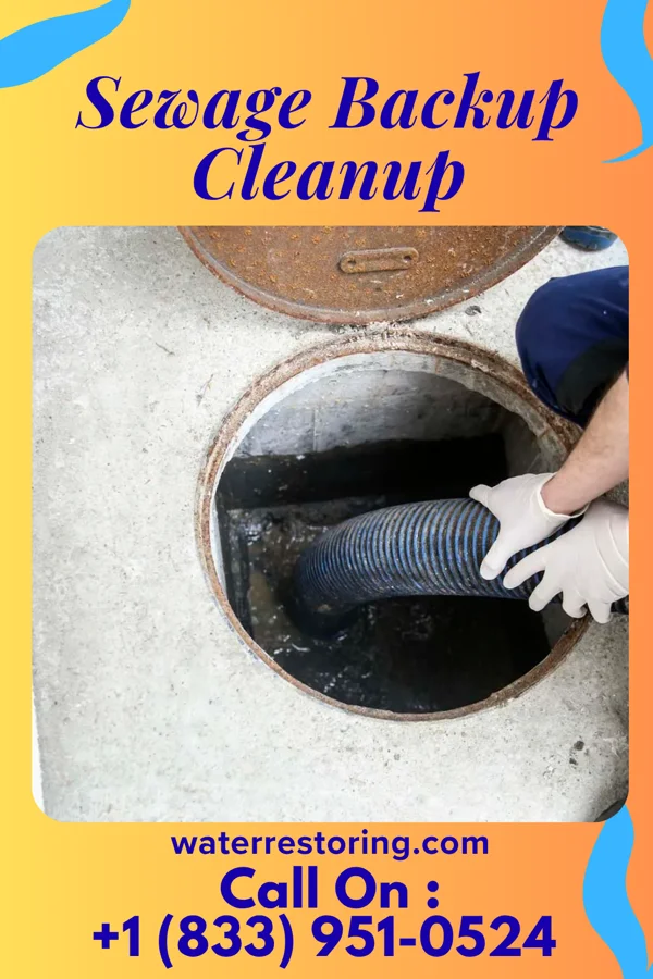Sewage Backup Cleanup in Roberts, IL