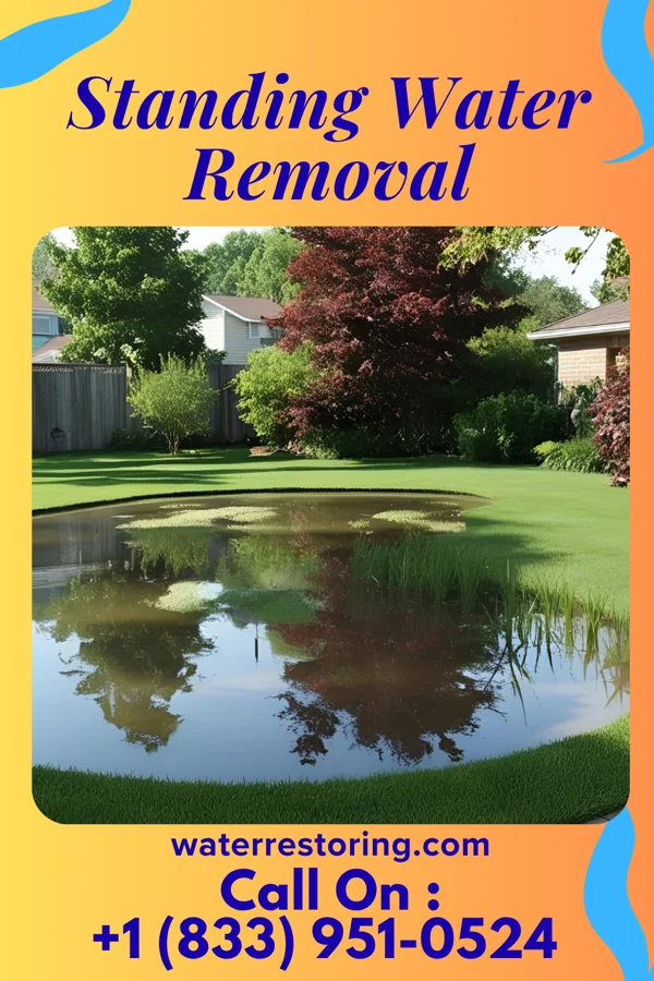 Standing Water Removal in Roberts, IL
